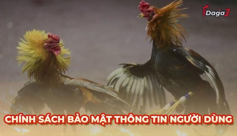 Chính sách bảo mật thông tin người dùng tại www.haileybright.tv
