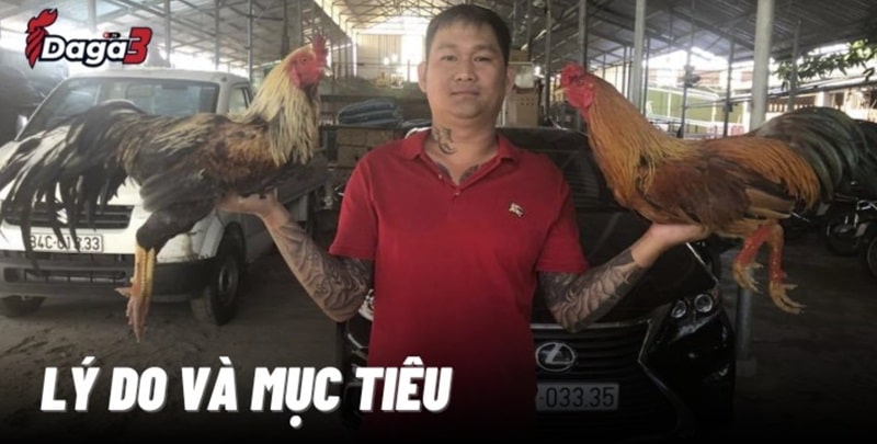 Mít Trà Cú sáng lập trang đá gà trực tiếp www.haileybright.tv